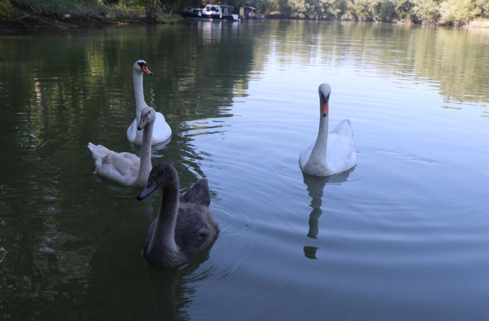 Danas u Novom Sadu suvo i toplo, uz povremeno sunce 