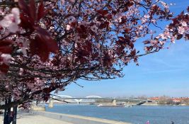 Meteorolog Todorović: Proleće došlo ranije