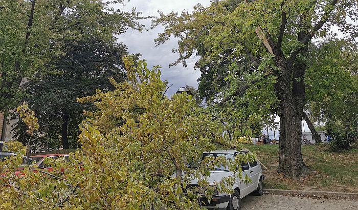 FOTO: Velika grana pala na automobile na Podbari