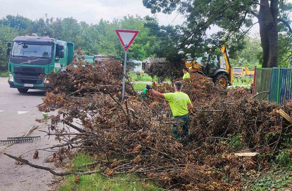 Novosađani štetu od nevremena mogu da prijave još danas