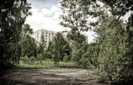 Uhapšeni jer su brali pečurke u okolini Černobilja