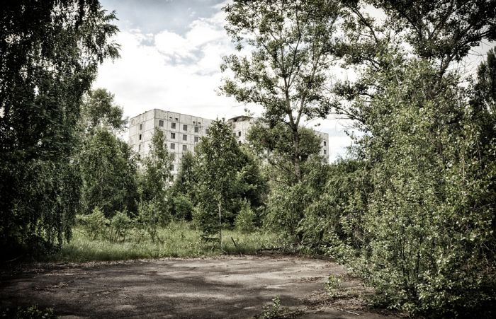 Uhapšeni jer su brali pečurke u okolini Černobilja