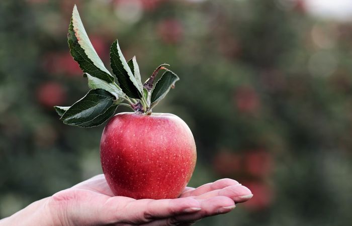 Kako očistiti jabuku od pesticida