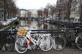 Amsterdamski kanali dobiće stepenice za spasavanje mačaka od utapanja