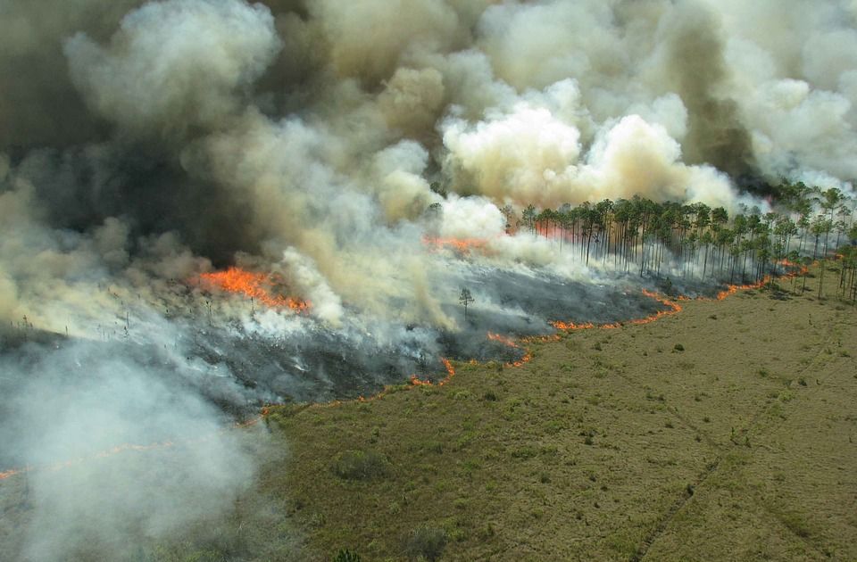 Na jugu Italije više požara, delovi Sicilije bez struje