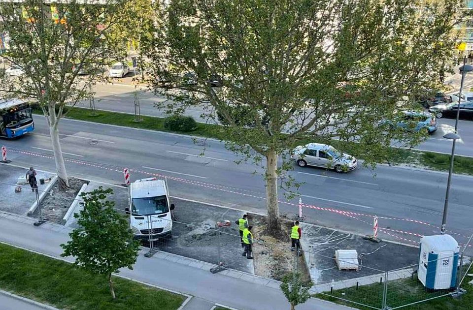 FOTO: Izrezan asfalt oko drveća na Bulevaru oslobođenja