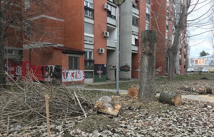 Uređuje se zelenilo na Limanu I, sadiće se nova stabla i ukrasno šiblje