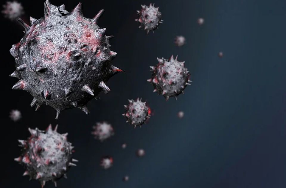 Naučnici izračunali težinu svih virusa korona na svetu