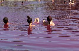 FOTO, VIDEO: Zašto je jezero u vojvođanskom selu roze boje?