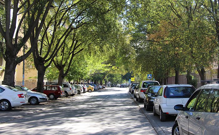 FOTO: Grbavica - otmeni bastion lokalpatriotizma