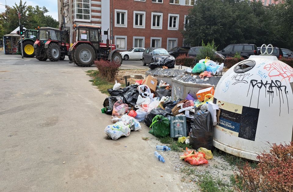 FOTO, VIDEO: Ratari zovu policiju da reguliše saobraćaj i komunalce da isprazne kontejnere