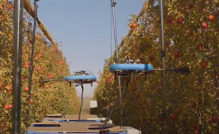 VIDEO: Napravljeni roboti koji beru samo zrelo voće i sprečavaju njegovo propadanje
