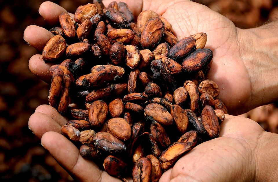 Kakao skuplji od bakra: Očekuje se viša cena čokolade za Uskrs