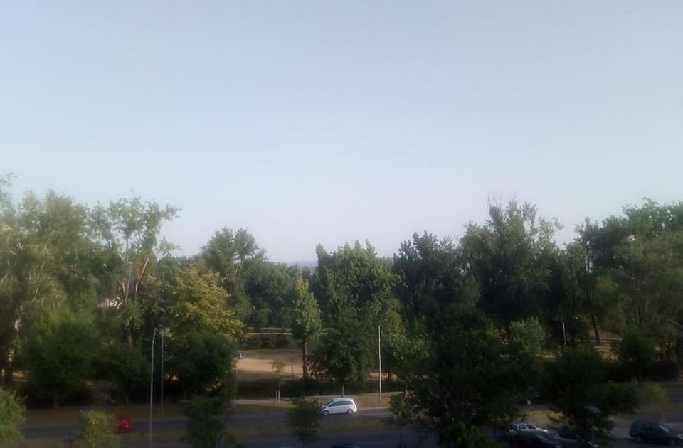 Performans "Tajni život drveća" u subotu na Detelinari