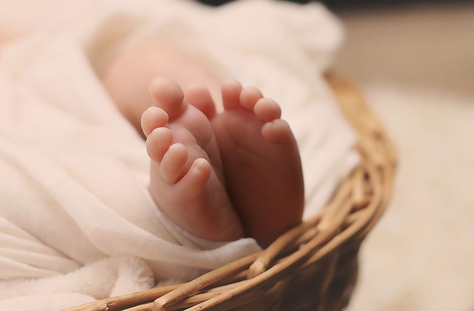 Lepe vesti: U Novom Sadu rođeno 20 beba