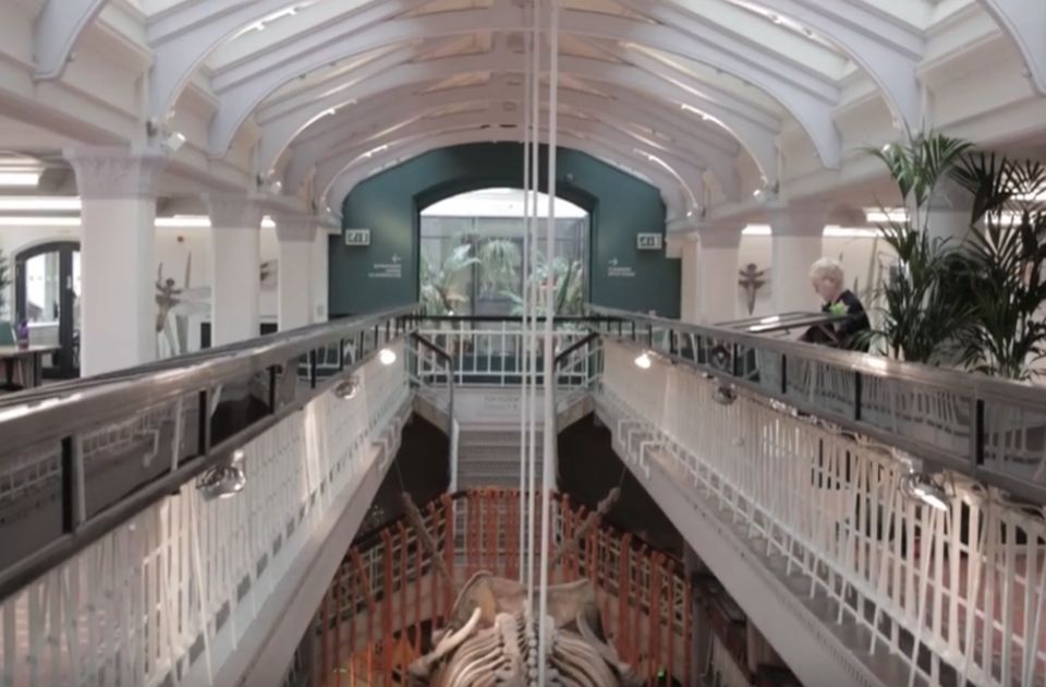 Britanski muzej izlaže hiljade afričkih predmeta o kojima ne zna ništa