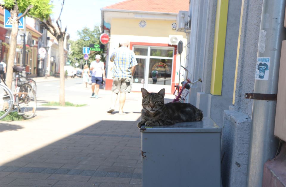 Stiže sreda: Vijamo hlad i osveženje