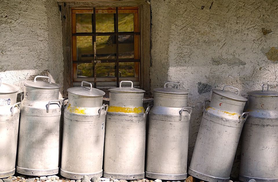 Postignut dogovor države i proizvođača mleka: Formira se operativni tim za suzbijanje šverca sireva