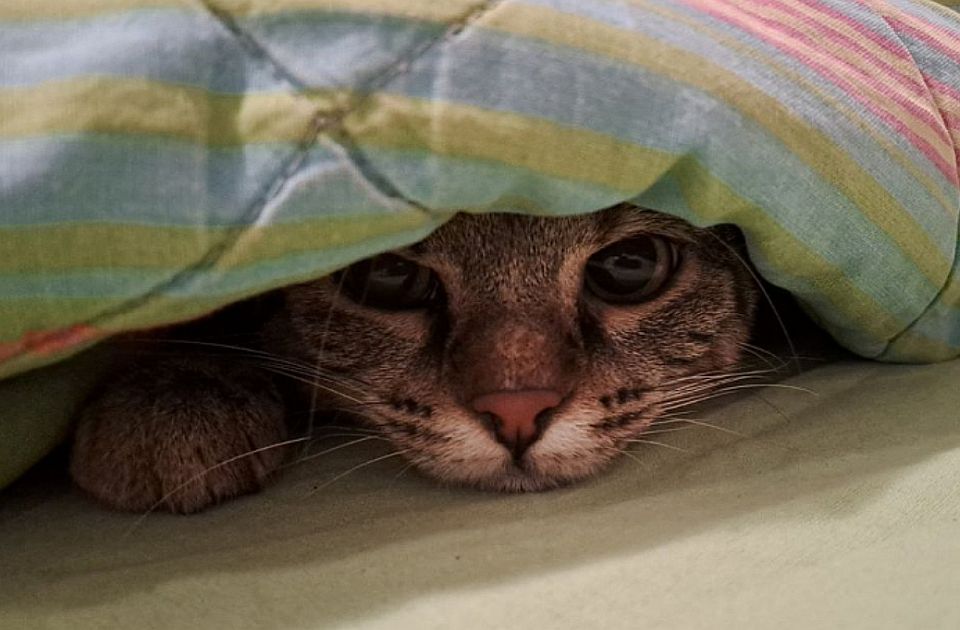 FOTO: Slika sa Novog naselja - 