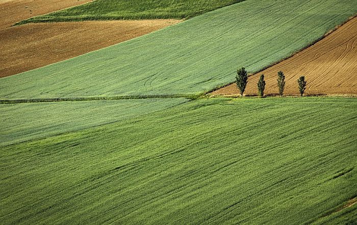 Zbog dugova na prodaju oranice širom Vojvodine, u ponudi i njive u Novom Sadu