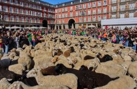 VIDEO: Hiljade ovaca i koza na ulicama Madrida