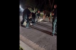 VIDEO: Sedam policajaca i lovac uklanjali s puta aligatora dugog više od četiri metra