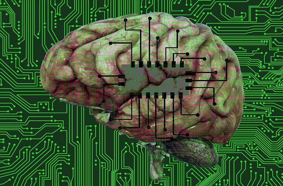 Uskoro stižu računari napravljeni od ljudskog moždanog tkiva 