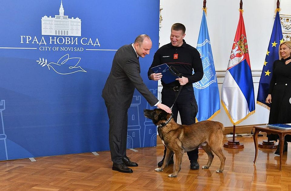 FOTO: Pas Zigi u Gradskoj kući, Novi Sad nagradio hrabre vatrogasce