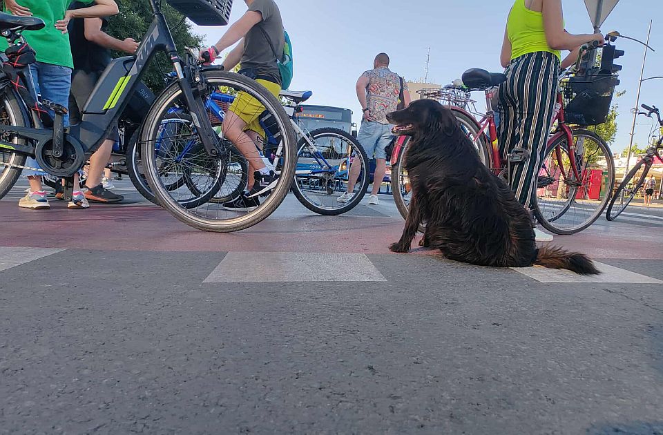 FOTO: Počele blokade na Bulevaru oslobođenja