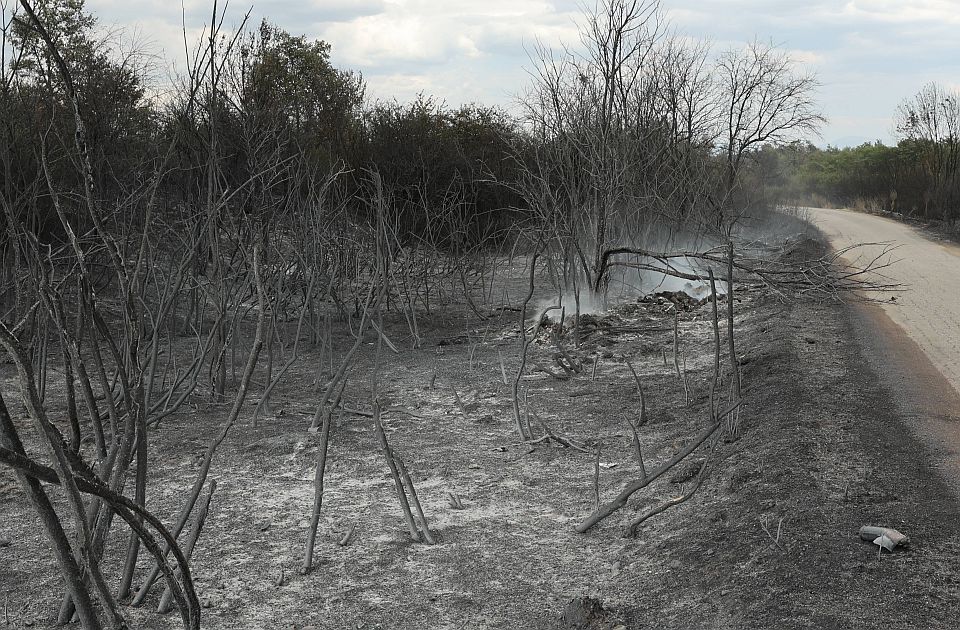 U Topličkom okrugu izgorelo 1.200 hektara zemljišta, 400 hektara šuma, 75 stambenih objekata U Topličkom okrugu izgorelo 1.200 hektara zemljišta, 400 hektara šuma, 75 stambenih objekata