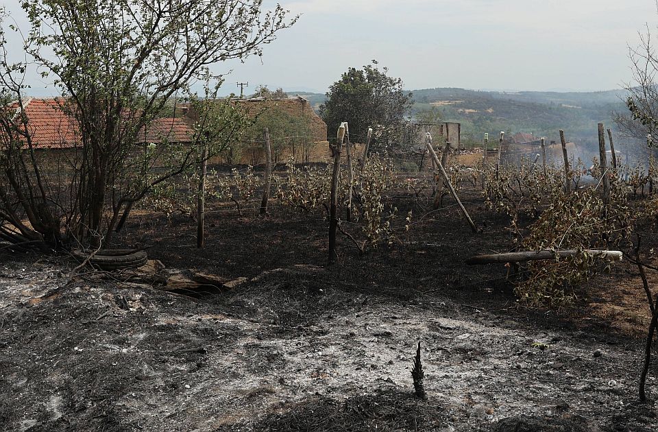 Požari u Srbiji: Uzroci, posledice i lekcije koje nadležni ne uče