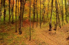 Otvoreno prvenstvo Fruške gore u planinskom trčanju 8. novembra na Glavici - od ove godine i trke za decu
