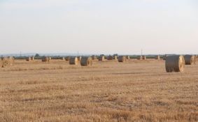 Pančevo: Ratari uskraćeni za hiljadu hektara zemljišta