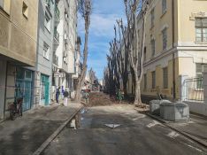 FOTO, VIDEO: U toku orezivanje stabala u Lukijana Mušickog