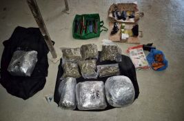 FOTO Novosadska policija zaplenila 30 kg marihuane i osam litara amfetaminskog ulja: Uhapšena dvojica