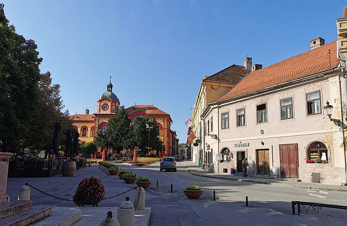 Humanitarni bazar za Lanu Jovanović u nedelju u Sremskim Karlovcima