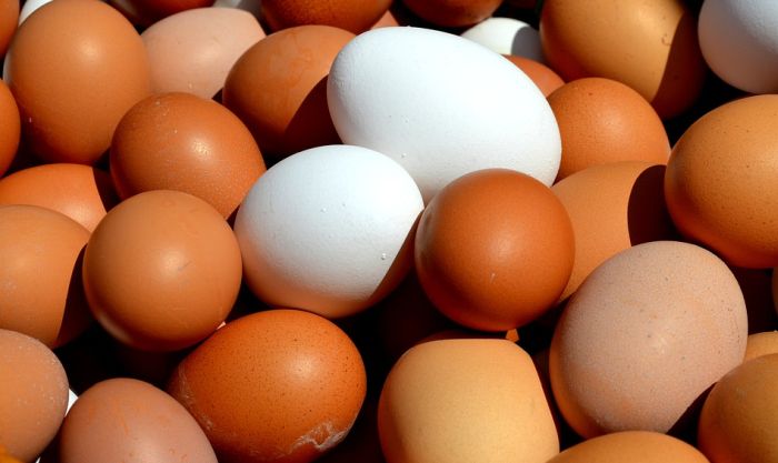 Od čega zavisi boja ljuske jajeta?