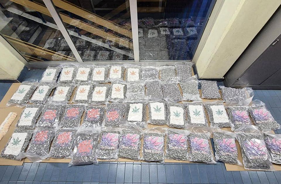 Novosadska policija u kamionu našla 50 kila marihuane