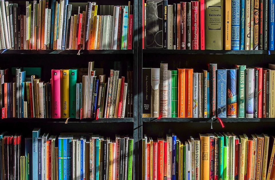 Ukrajina bi mogla da ukloni milion knjiga iz biblioteka, uključujući ruske klasike i knjige za decu
