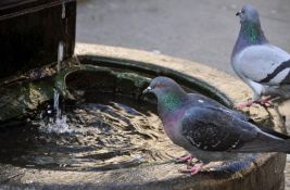 Milano gasi fontane zbog suše
