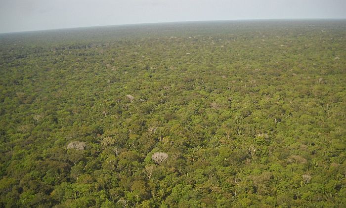 Brazil šalje vojsku da zaštiti Amazoniju