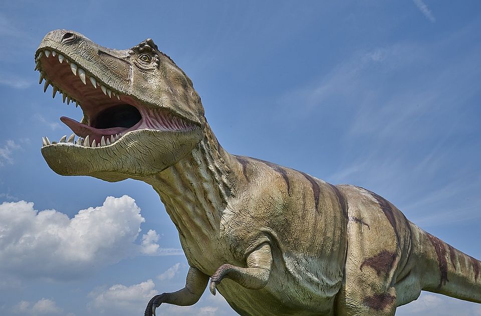 Naučnici u Engleskoj otkrili dve nove vrste dinosaurusa, jedan od njih opisan kao "čaplja iz pakla"