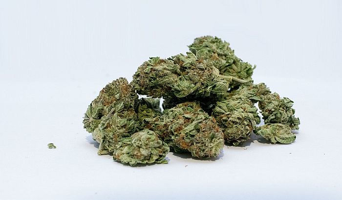 Džej-Zi ulaže 10 miliona dolara za preduzeća u sektoru marihuane
