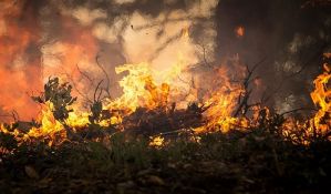 Požar kod kamp-parka u Nemačkoj, više od 70 povređenih
