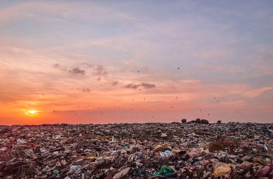 VIDEO: Pregovori u Ženevi o prvom svetskom ugovoru protiv zagađenja plastikom bez rezultata, rokovi ističu VIDEO: Pregovori u Ženevi o prvom svetskom ugovoru protiv zagađenja plastikom bez rezultata, rokovi ističu