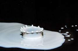 Mlekari iz Bogatića više dnevno ne prosipaju 700 litara mleka u kanalizaciju, počeo otkup