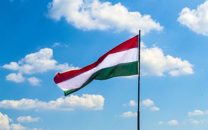 Naučnici protestovali u Budimpešti za nezavisnost akademije nauka