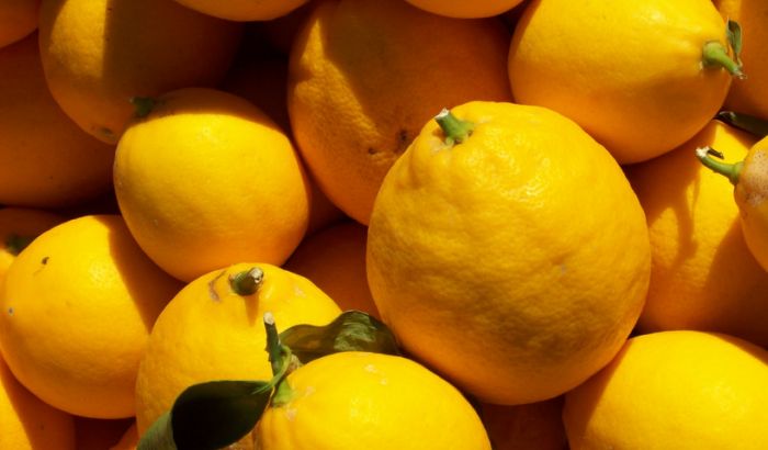  Limun smanjuju svrab posle ujeda komarca
