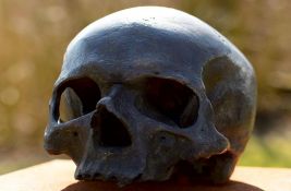 Ljudska lobanja pronađena tokom potrage za uskršnjim jajima u parku u Kaliforniji