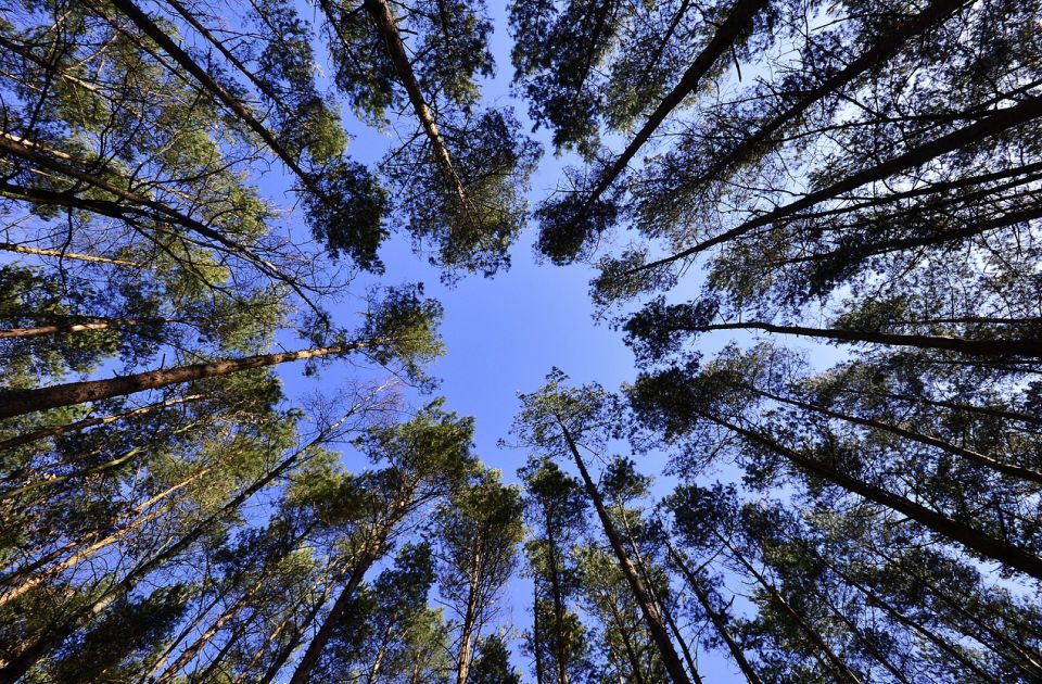 Zadivljujuće naučne činjenice zbog kojih će vam biti drago što živite upravo sad